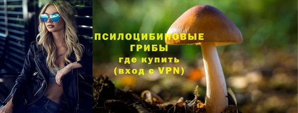 тгк Верея