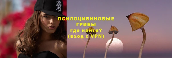 PSILOCYBIN Краснотурьинск