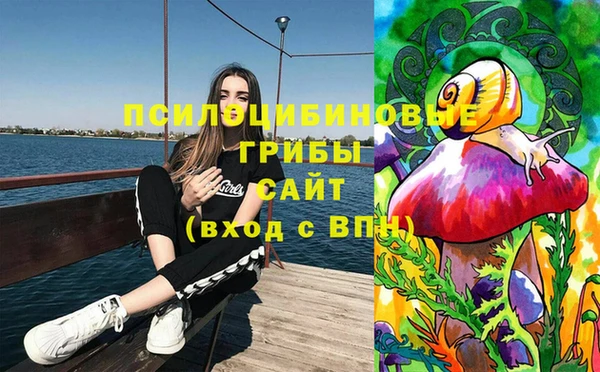 тгк Верея
